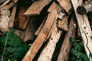 Tarli del Legno: Come Riconoscerli e Prevenirli